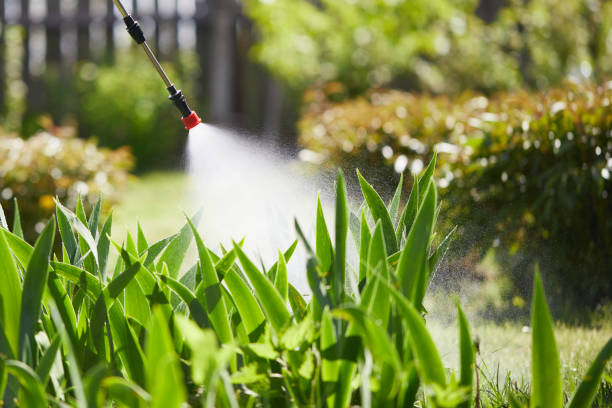 24/7 Emergency Cockroach Control experts in Vashon, WA
